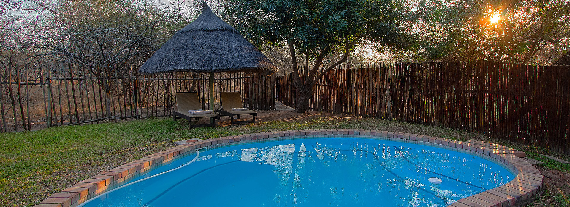 Nyati Safari Bushcamp swimming pool and lapa